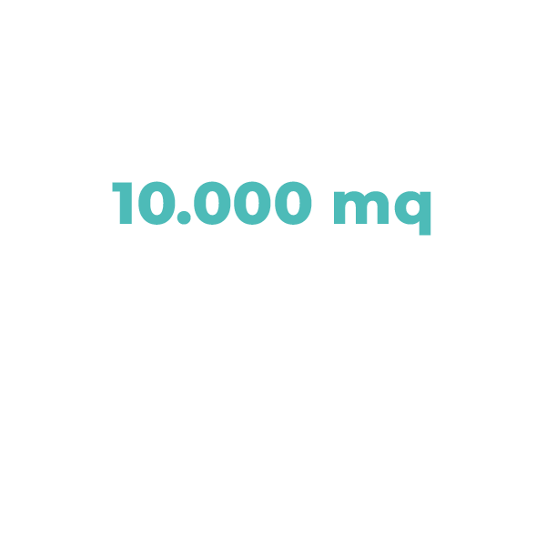 10.000 mq